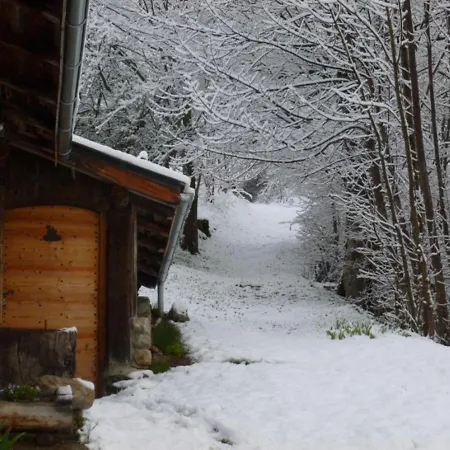 Gragny Authentique Maison Montagne * La Léchère